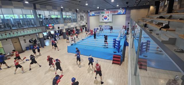 복싱 하계전지훈련